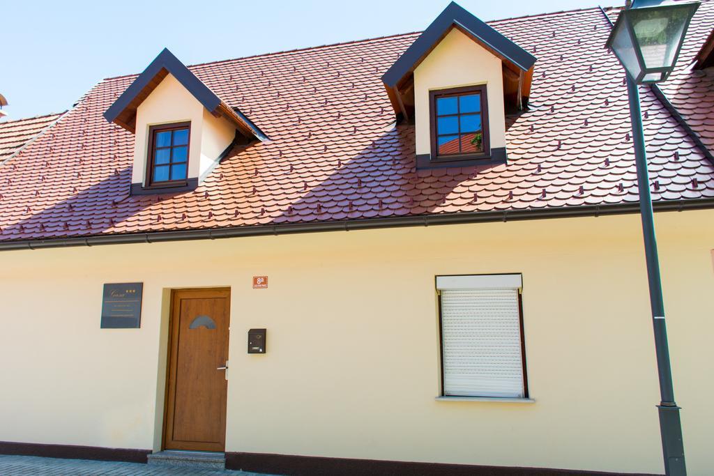 Apartment Gasa Brežice Buitenkant foto