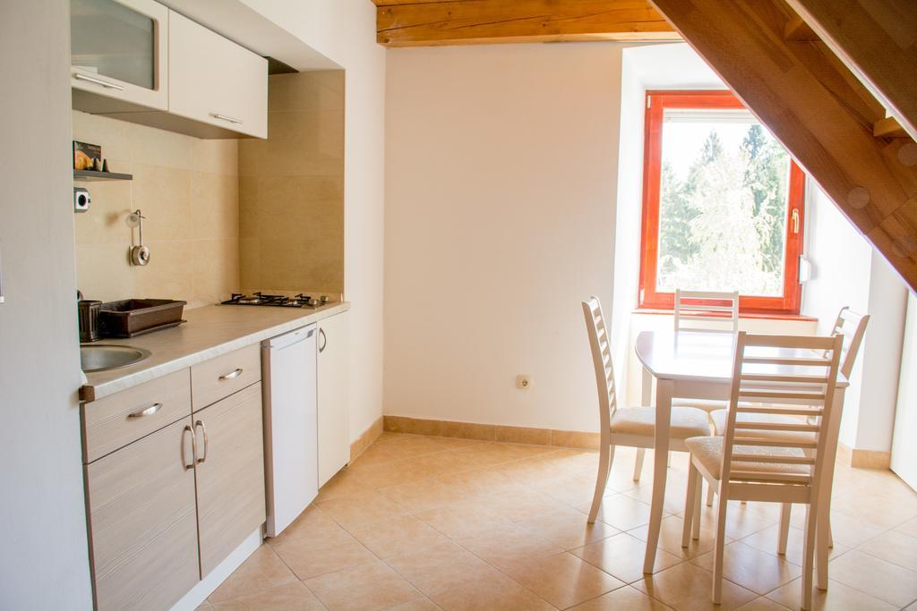 Apartment Gasa Brežice Buitenkant foto